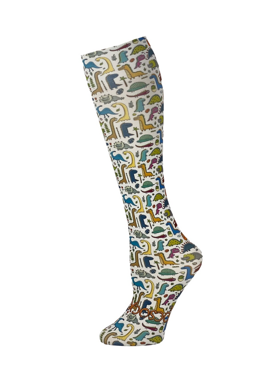 HOCSOCXS DINOSAUR BASH  FULL FOOT