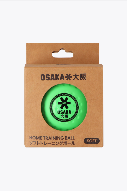 BOLA DE ENTRENAMIENTO EN CASA